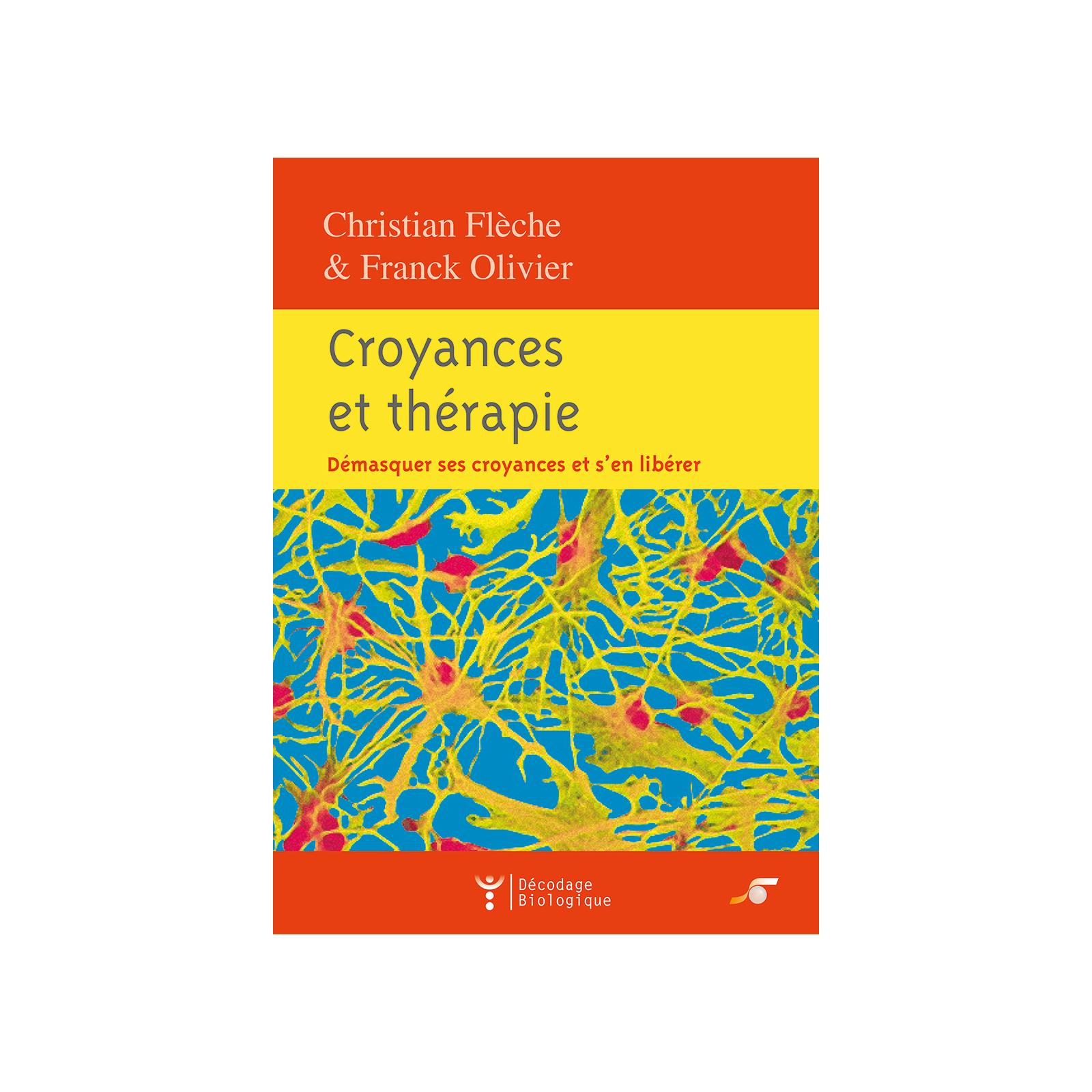 Croyances et thérapie (Ebook)